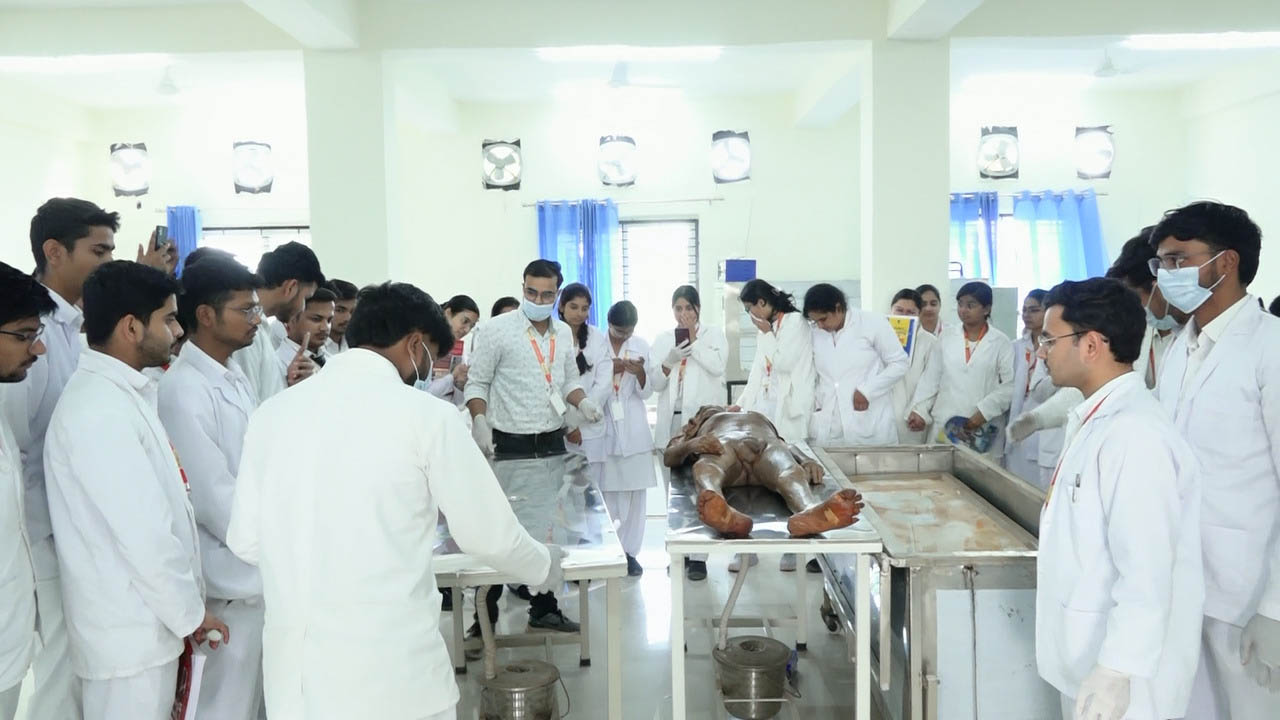 ayurvedic deisection